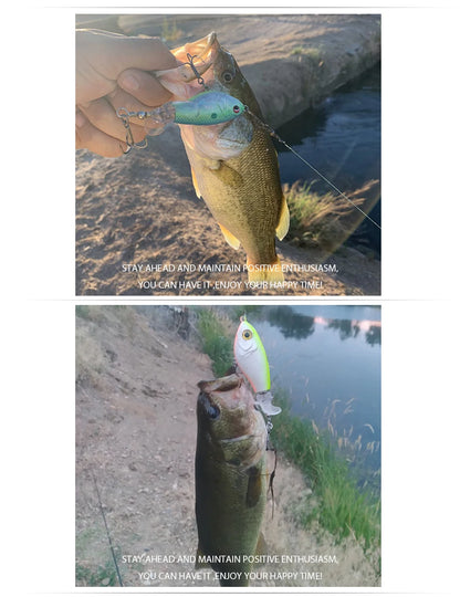 Cinq whopper poppers alignés dans 5 coloris différents : vert tigré, bleu-argenté, olive-orange, argenté-rose, jaune camouflage