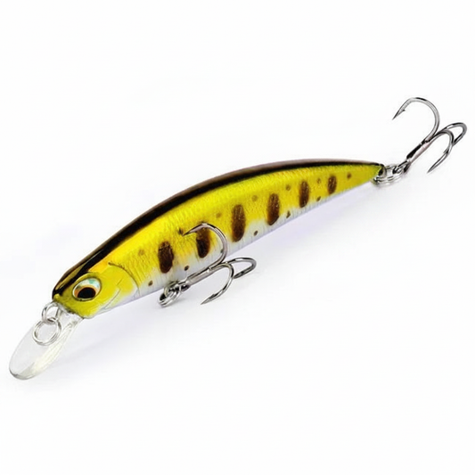 Poisson nageur coloris doré brun, packshot studio sur fond blanc.