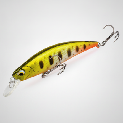 Poisson nageur coloris vert olive doré, packshot studio sur fond blanc.
